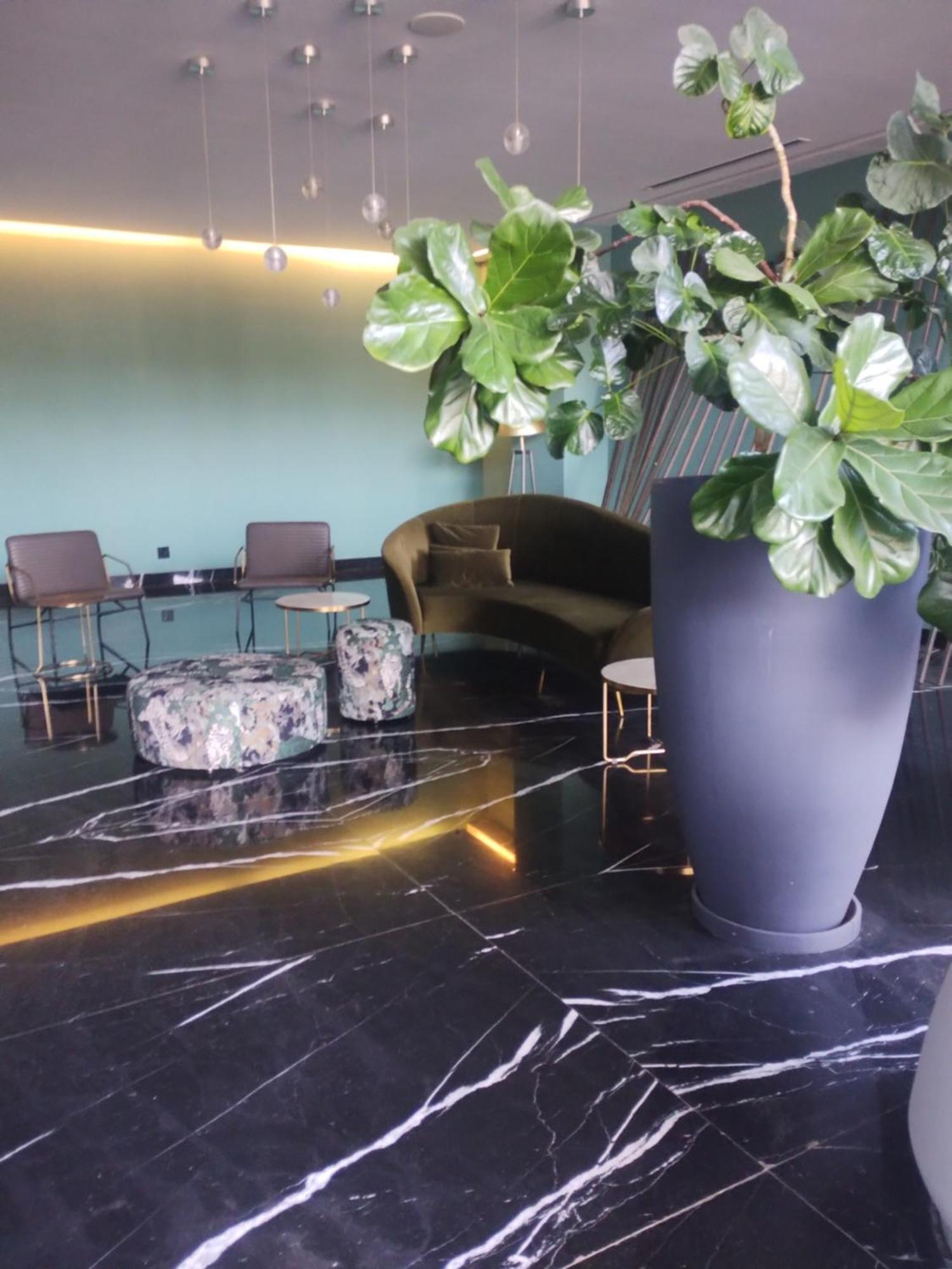 Departamento En Zona De Lujo Con Alberca Y Gym